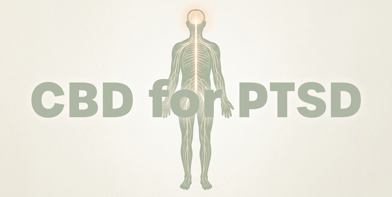 CBD for PTSD: Can It Help with Symptoms?