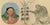 Cannabis plant historical illustration
