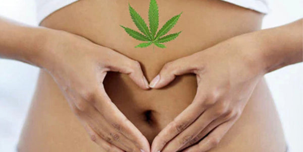 The Benefits of CBD for Digestive Health