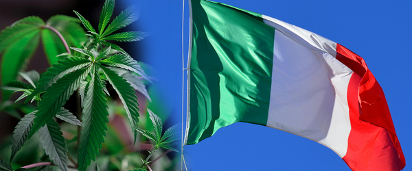 Why Has CBD Been Illegalised in Italy?