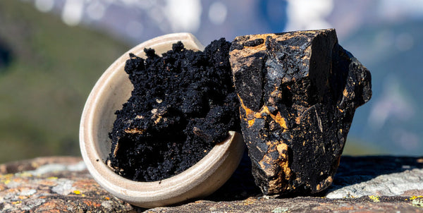 Shilajit resin