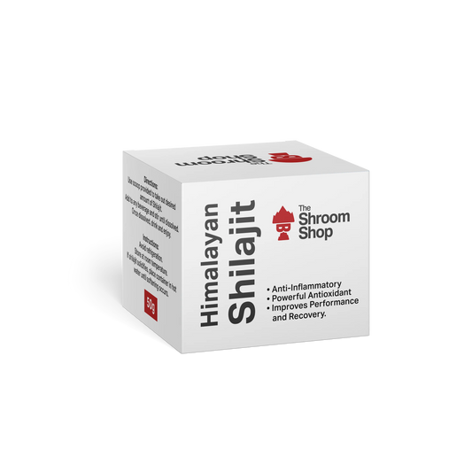 Himalayan Shilajit Resin – 50 g